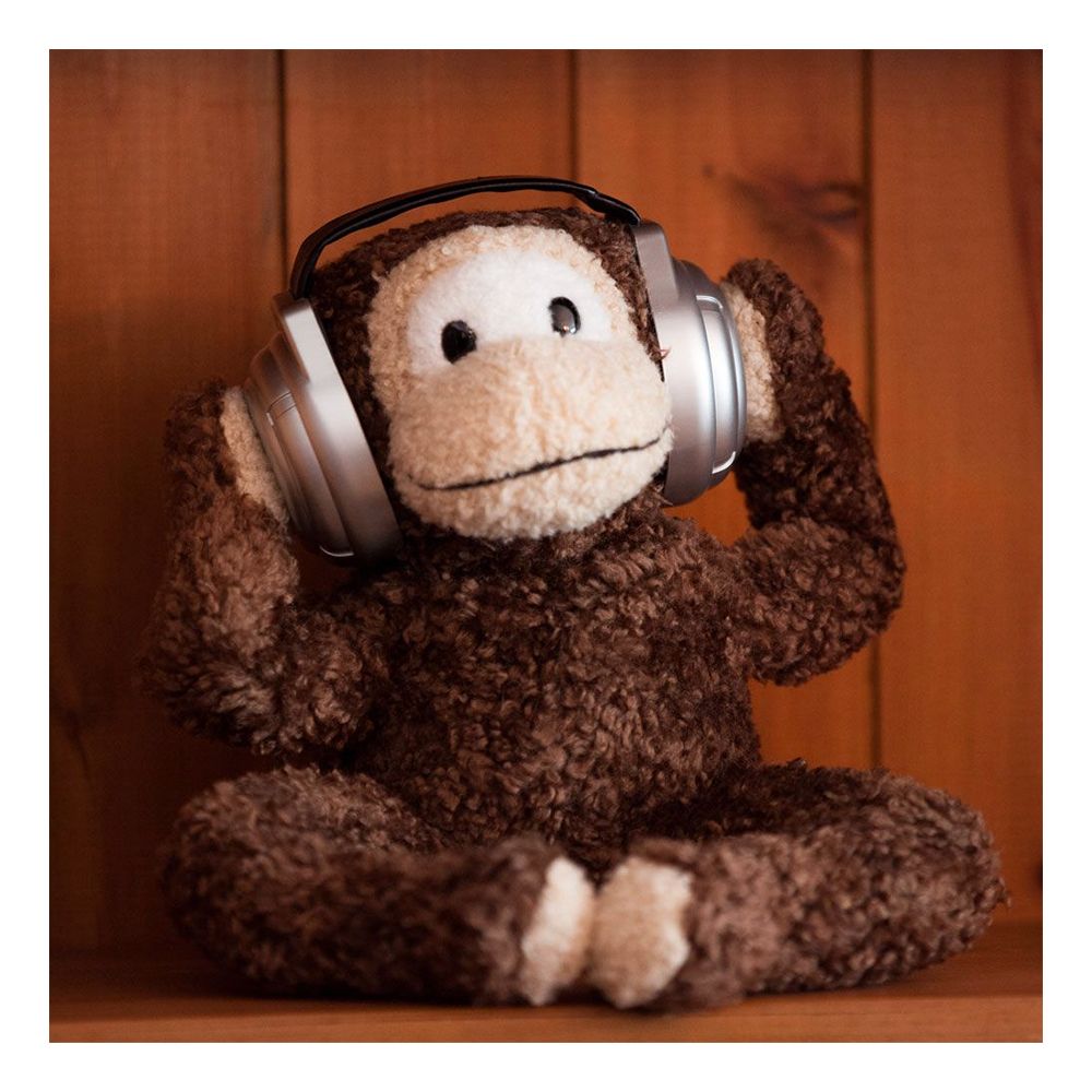Musik-Apa