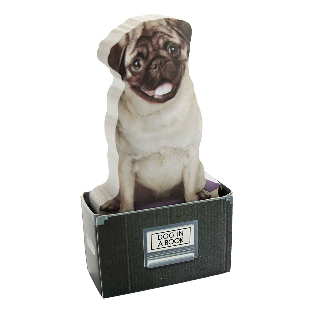 Mustard Dog In A Box Sticky Notes