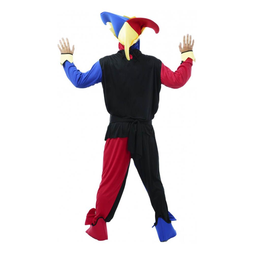 Hofnar Kostume