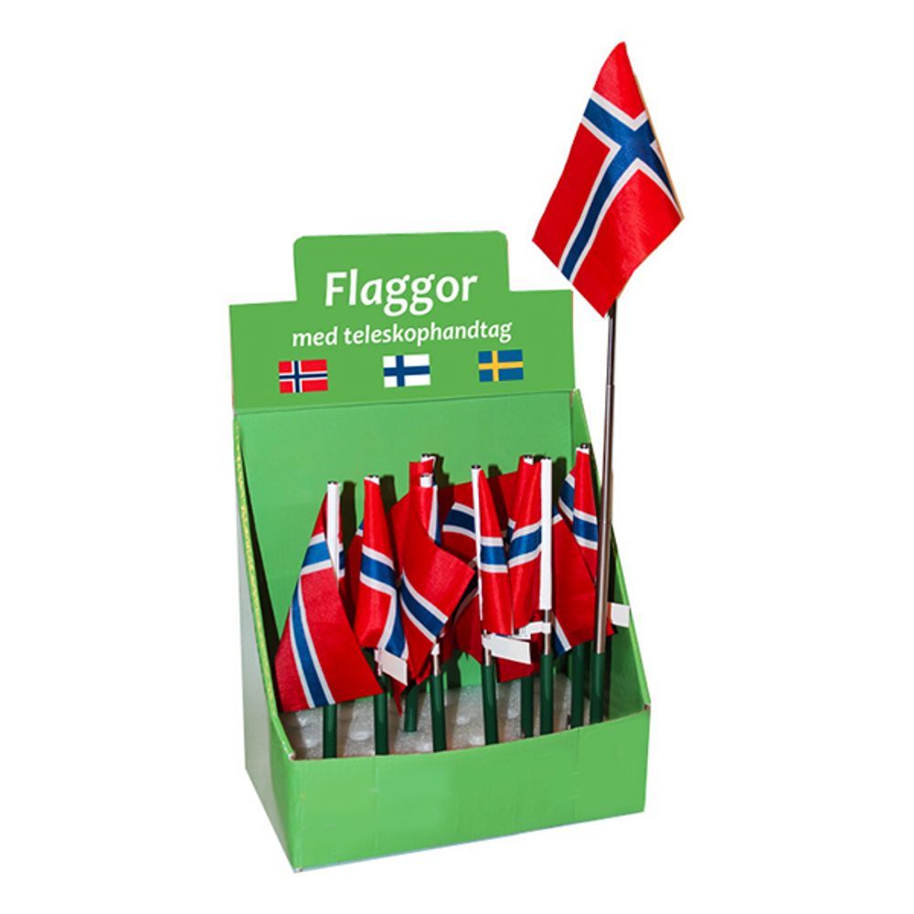 Norjan lippu Teleskooppivarrella