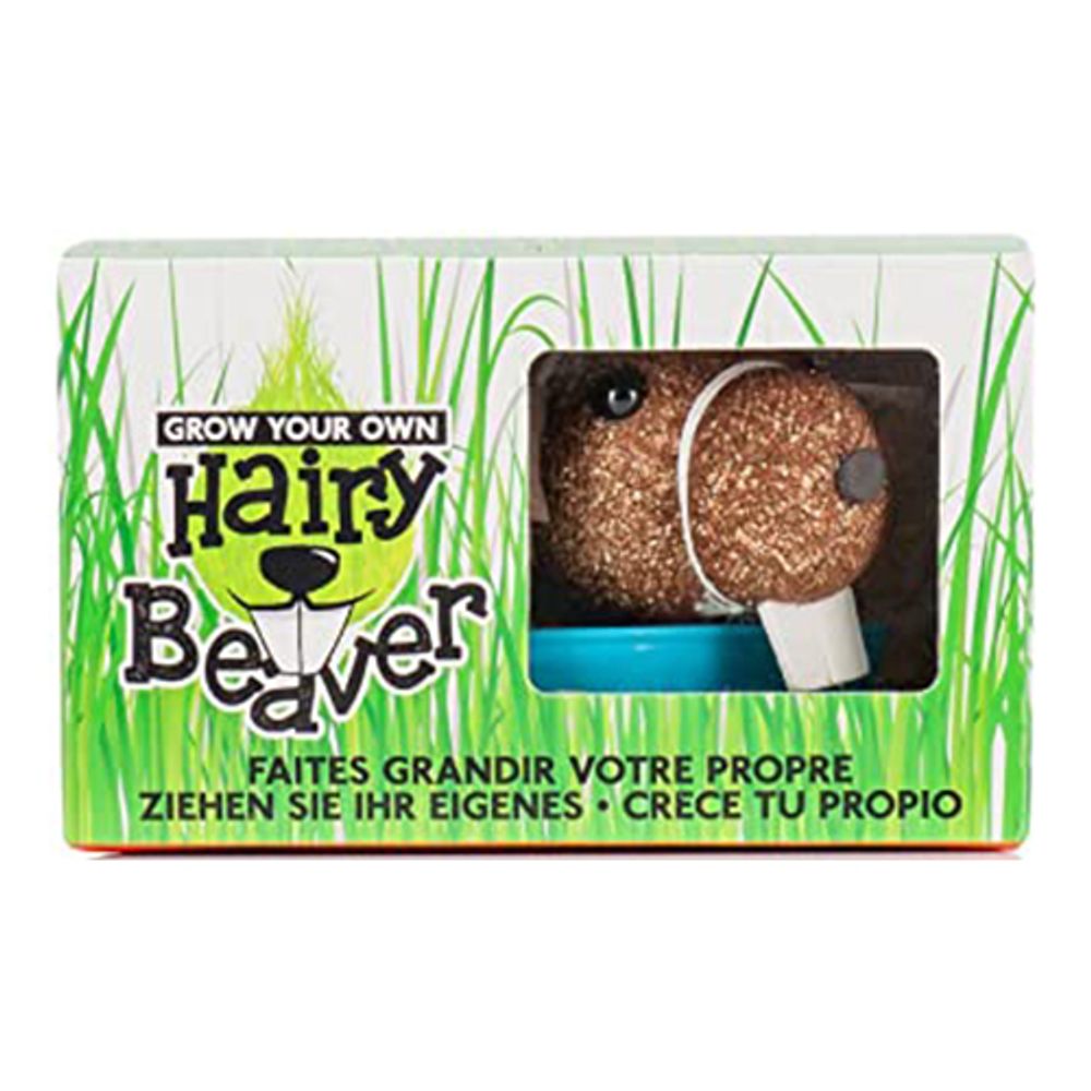 Odla Din Egen Håriga Bäver