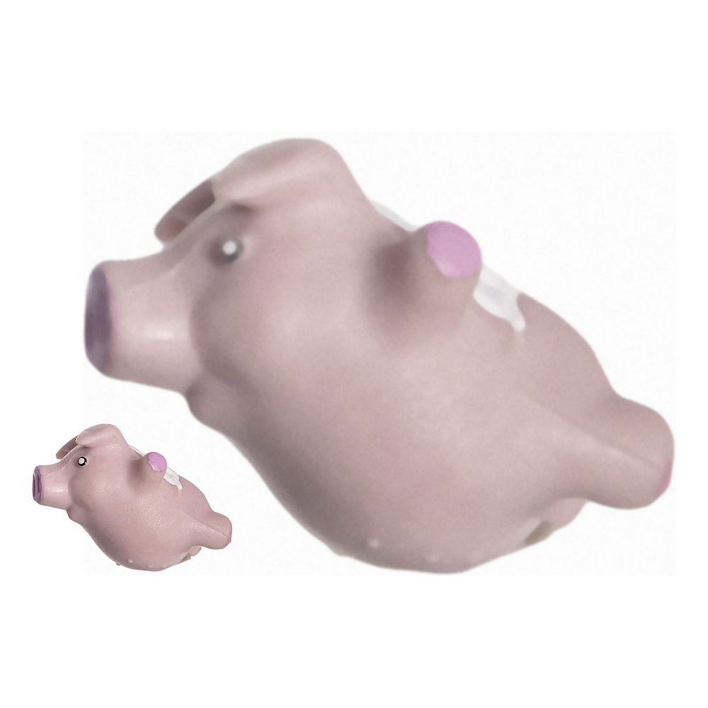 Kasvata Lentävä Sika