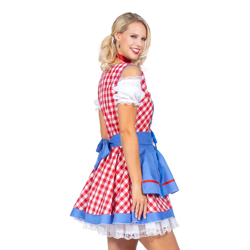 Oktoberfest Dirndl Ternet Kostume