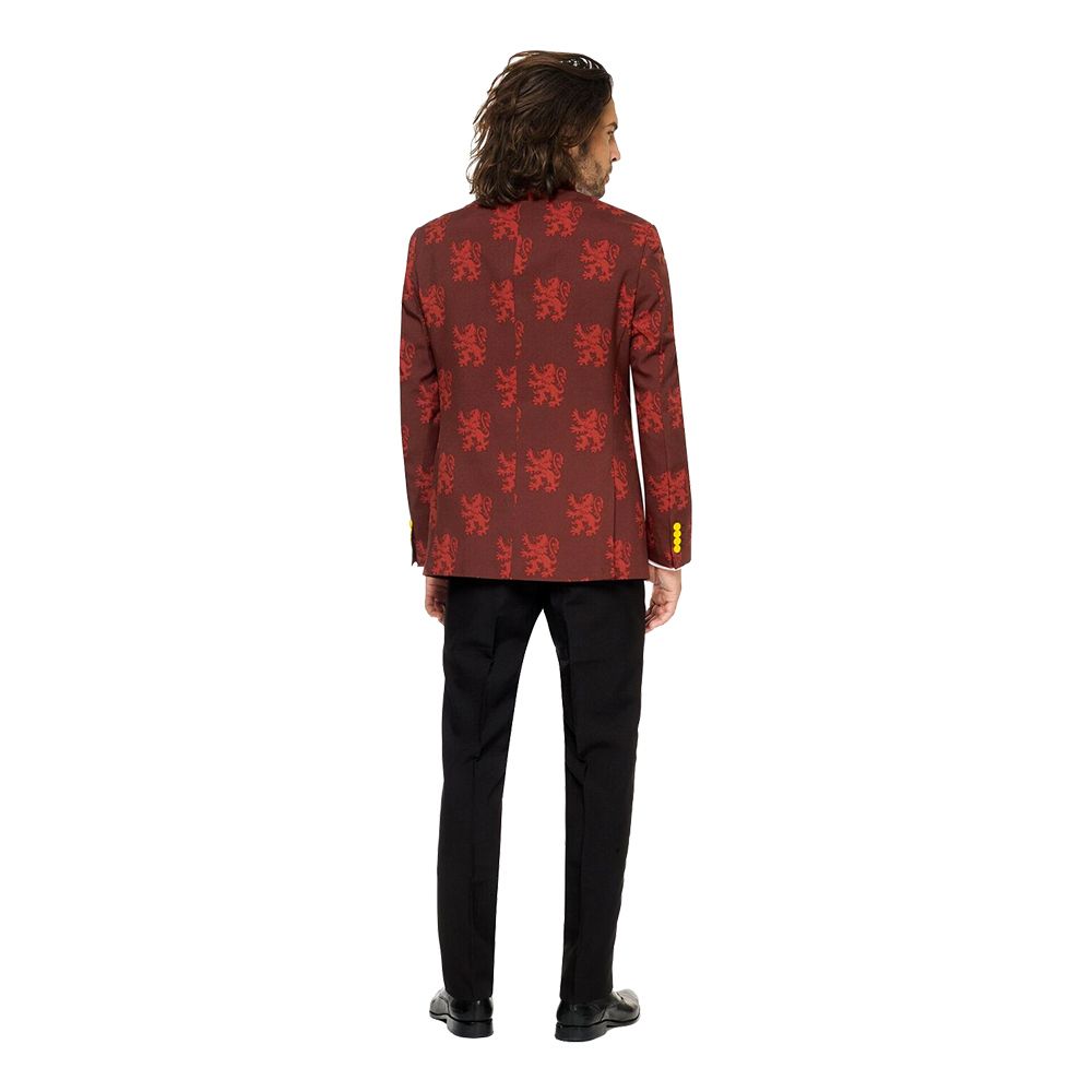OppoSuits Harry Potter Kostym