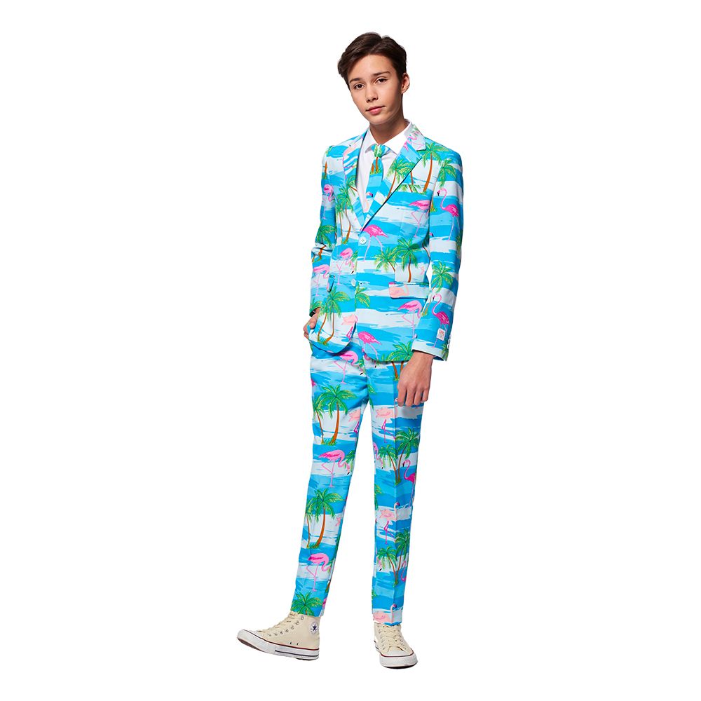 OppoSuits Teen Flaminguy Dress