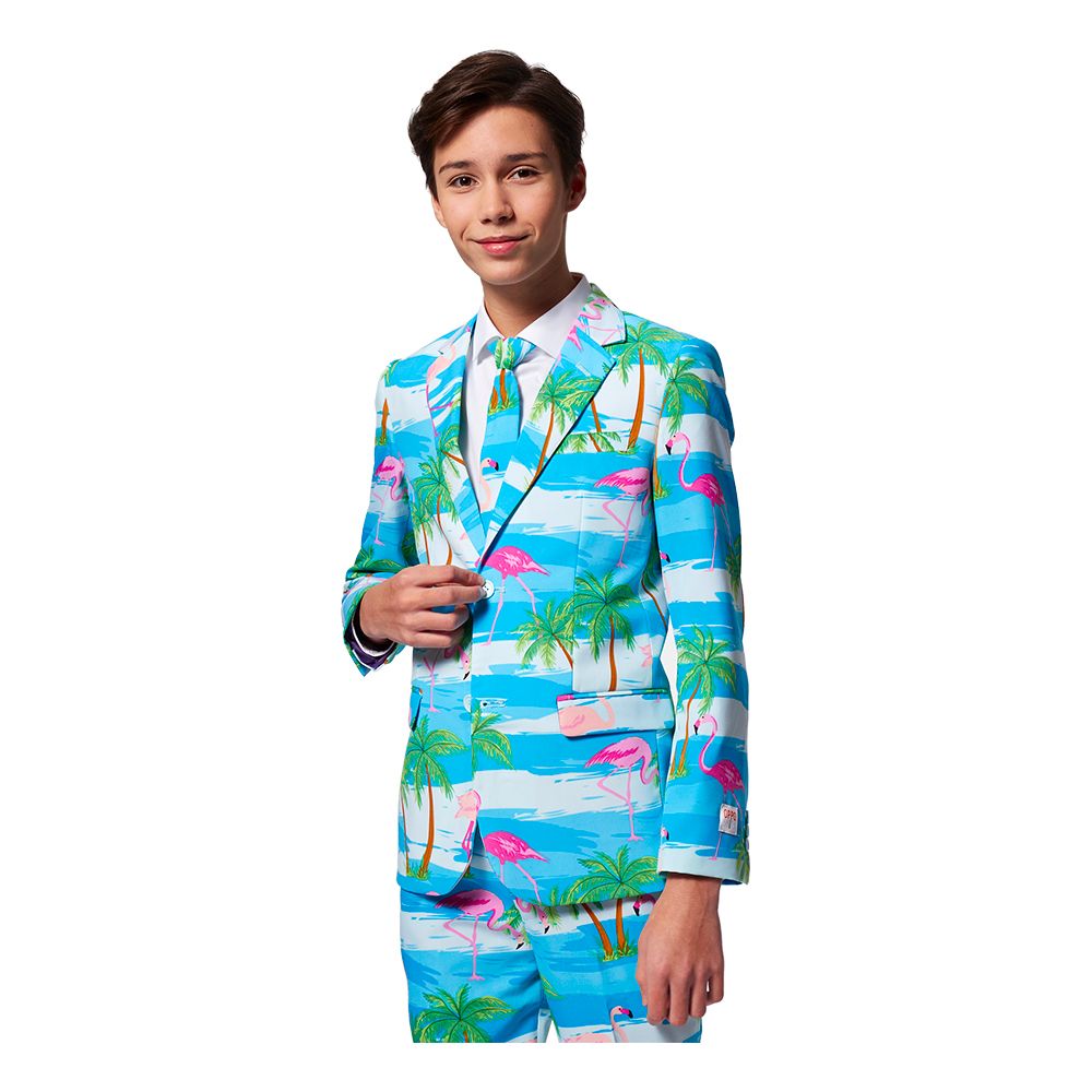 OppoSuits Teen Flaminguy Dress