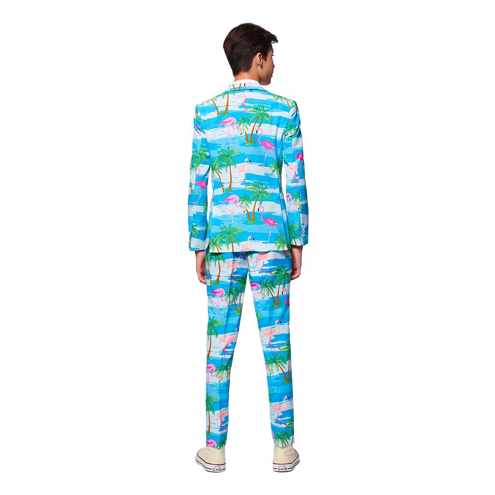 OppoSuits Teen Flaminguy Dress
