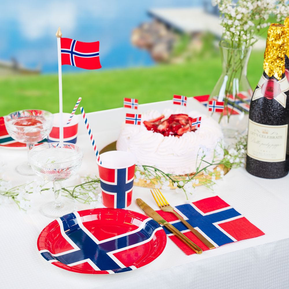 Papperstallrikar Norska Flaggan