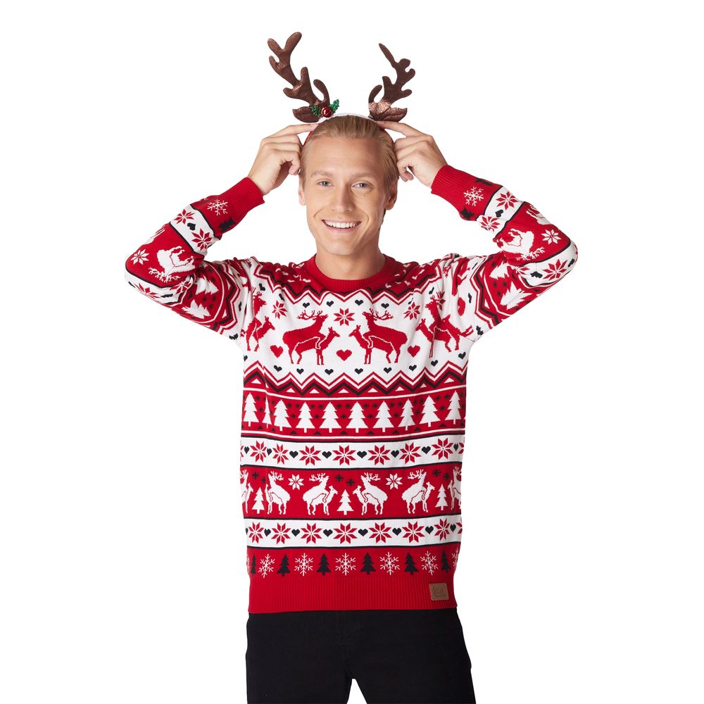 Parande Renar Jultröja