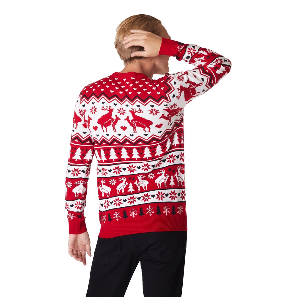 Parande Renar Jultröja