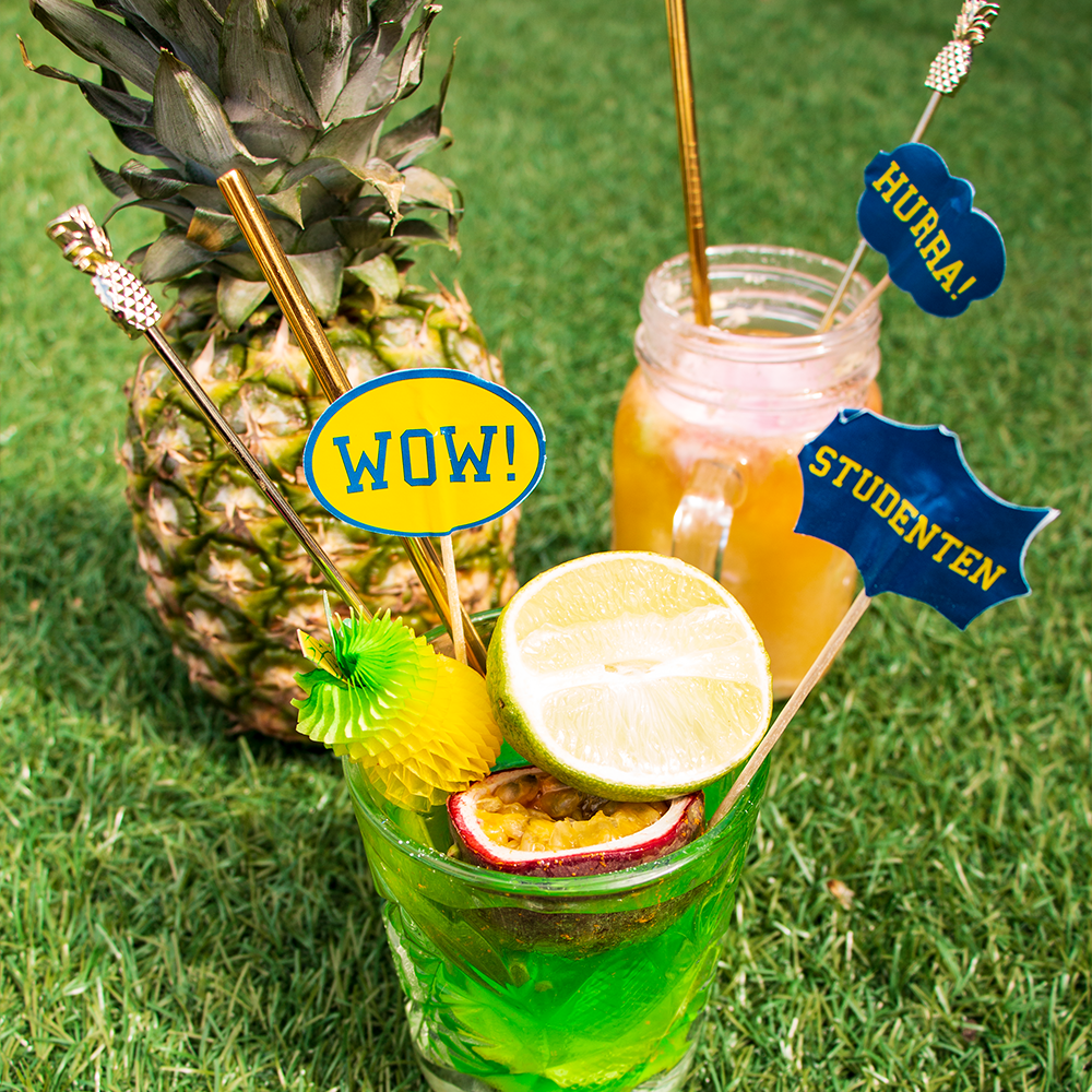 Partypicks Studenten