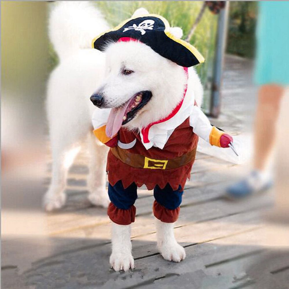 Pirat Maskeraddräkt för Katt/Hund