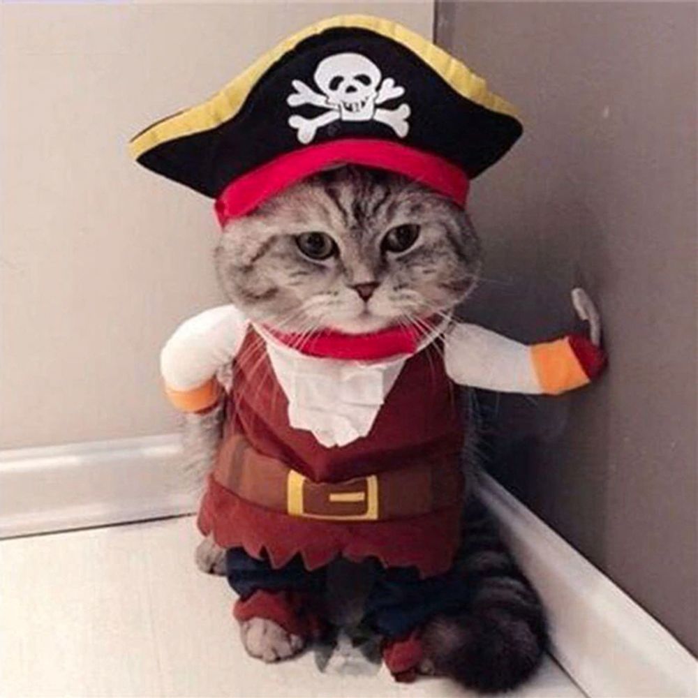 Pirat Maskeraddräkt för Katt/Hund