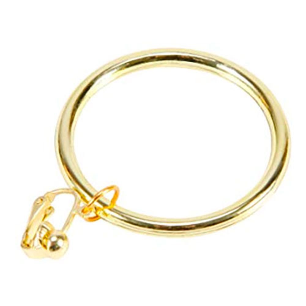 Sjørøver Ørering