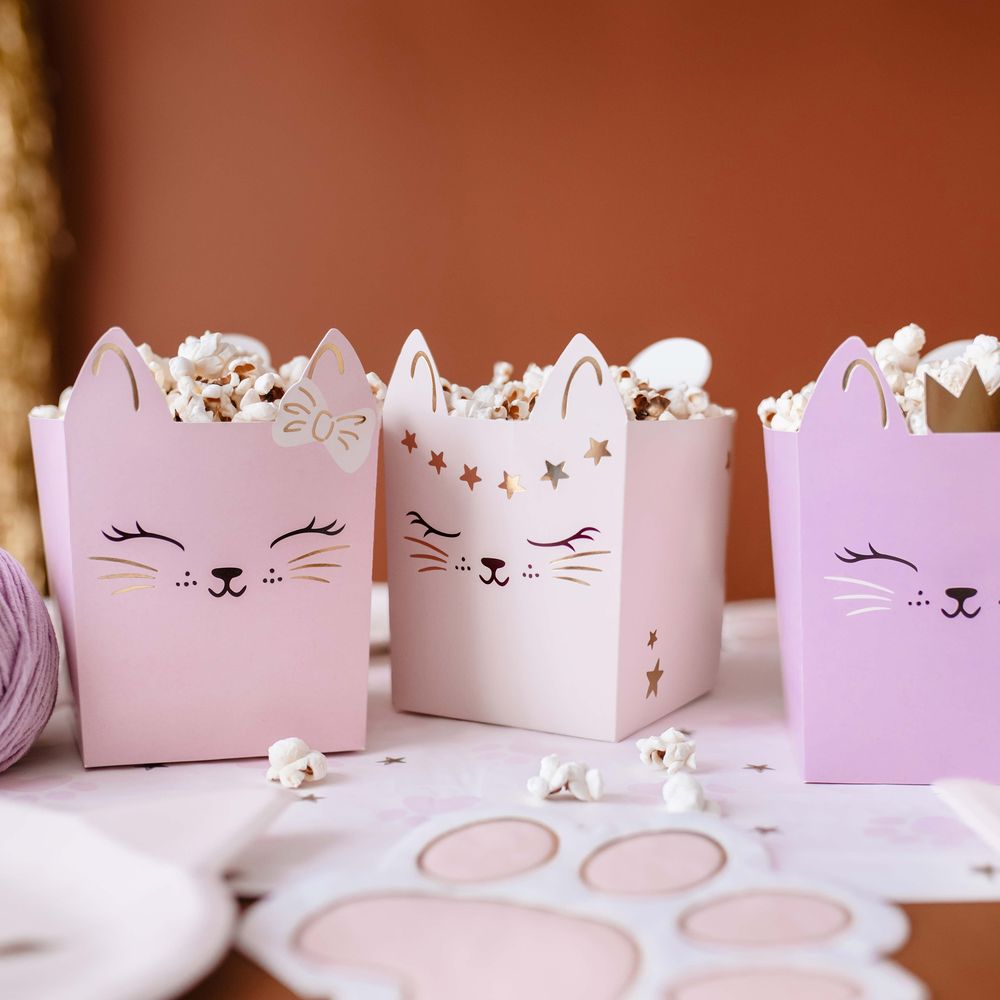 Popcornbeger Katter