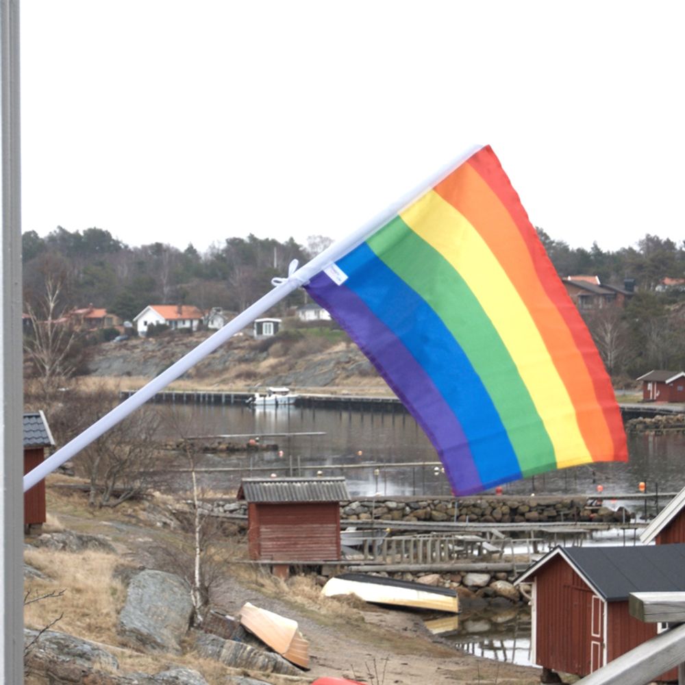 Pride Fasadeflagg med Stang