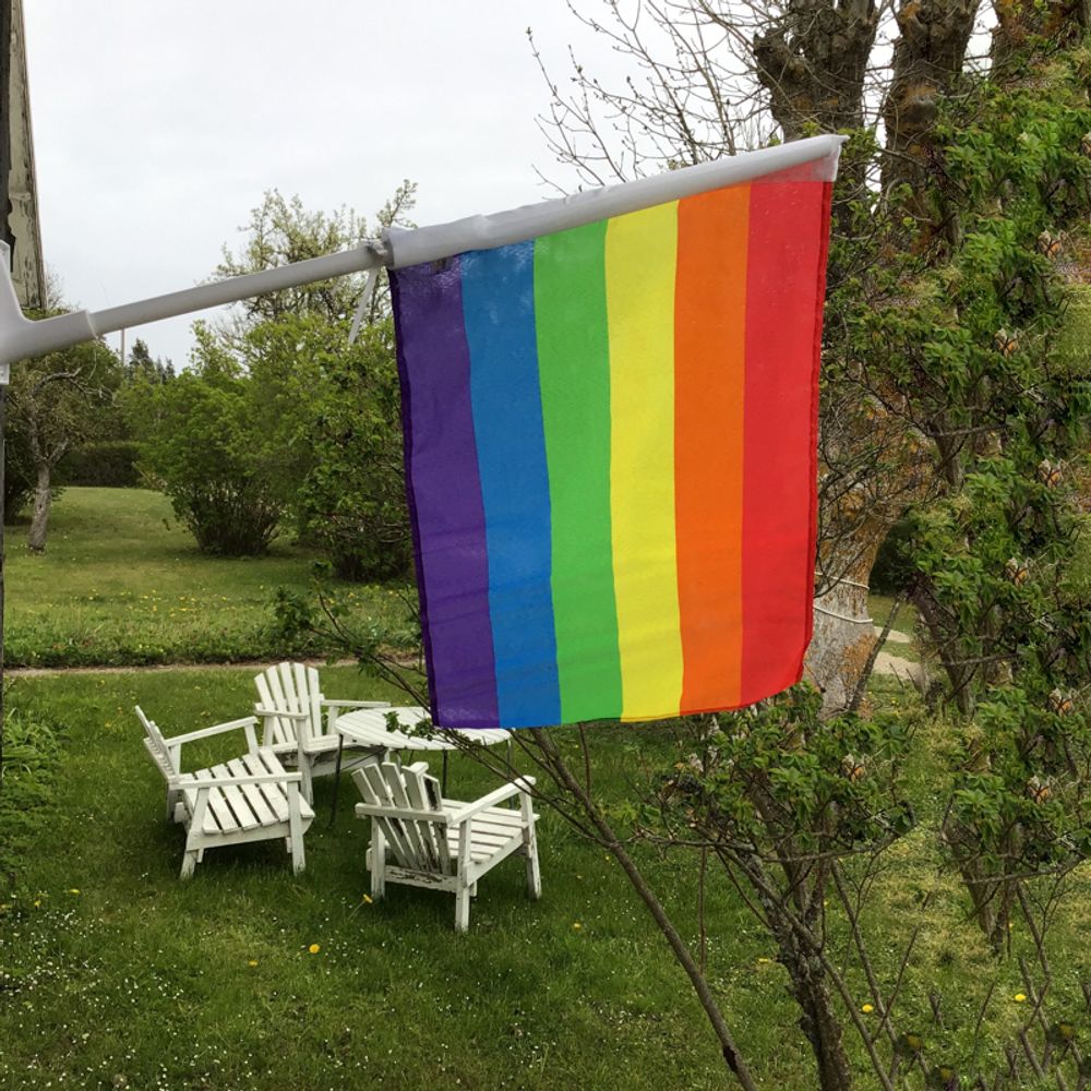 Pride Fasadeflagg med Stang