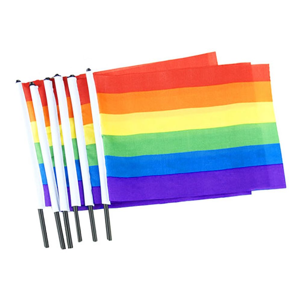 Prideflagga på Pinne 60x90cm