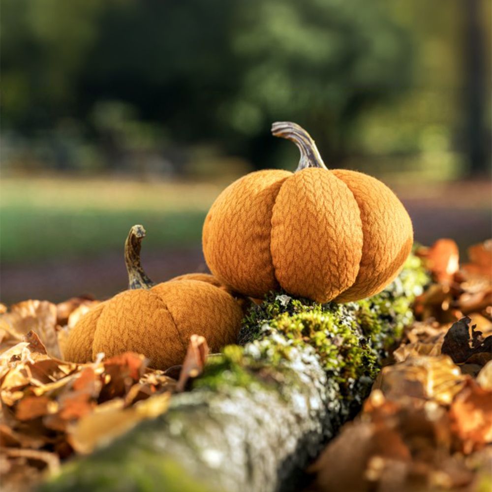 Pumpkin Halloween Oranssi