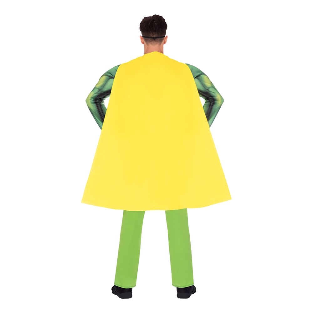 Robin Kostume