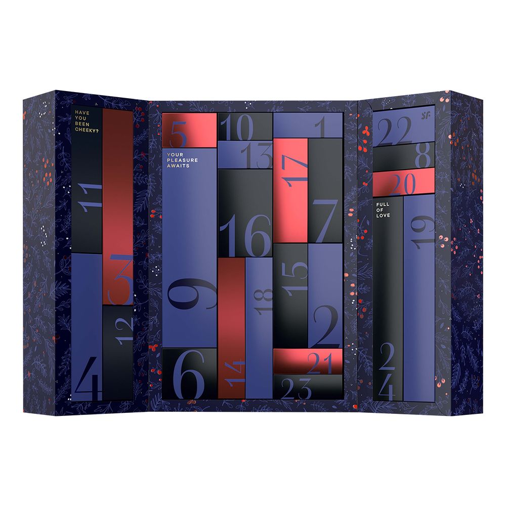Satisfyer Premium Adventskalender 2024