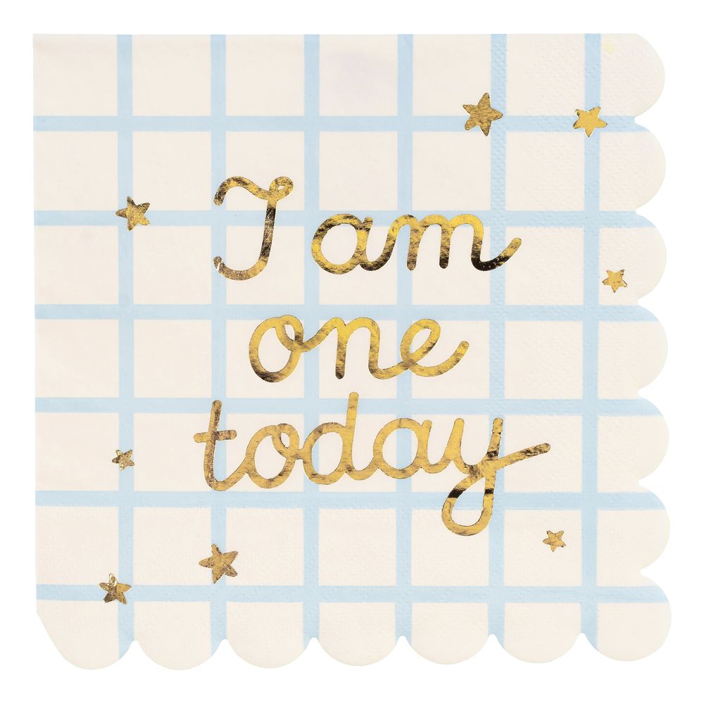 Servietter I Am One Today