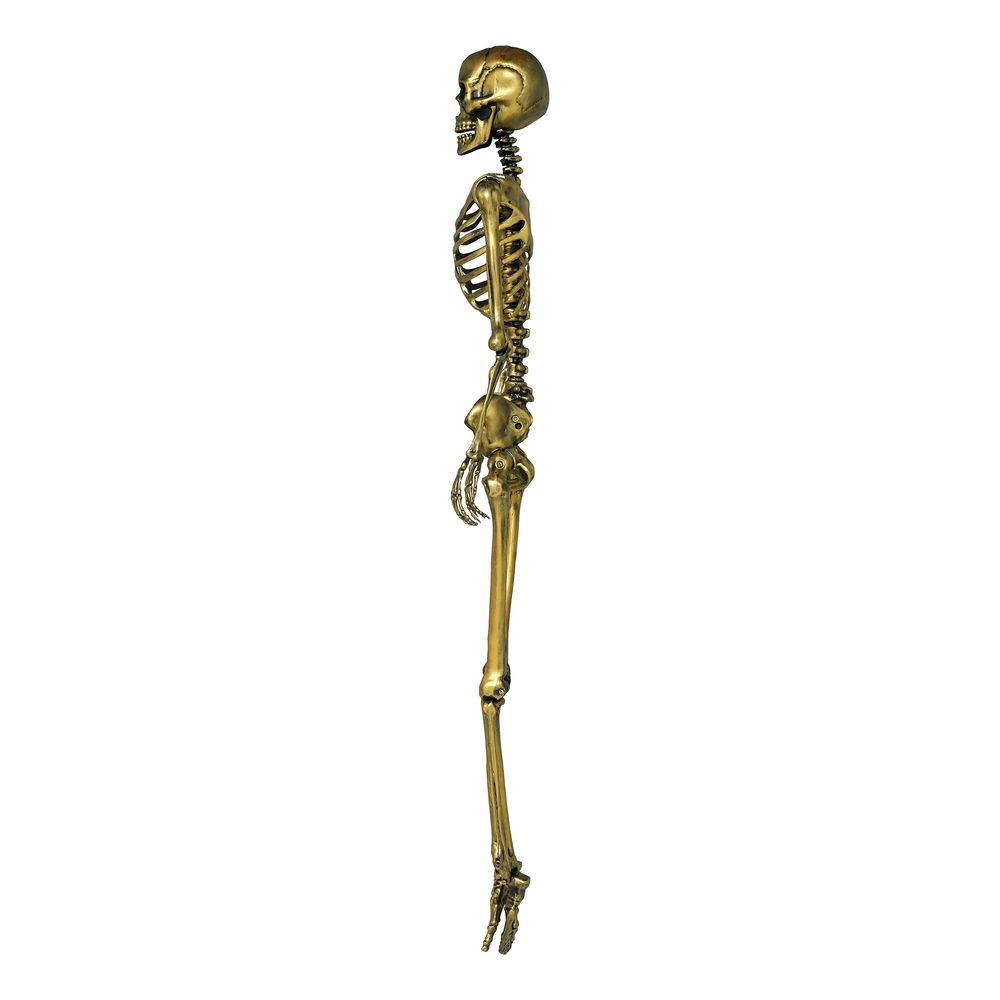 Skelet Guld Prop