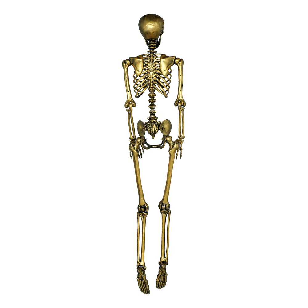 Skelet Guld Prop