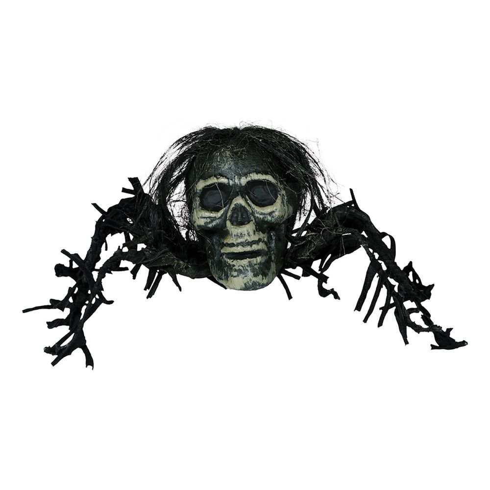 Skelet Edderkop Prop