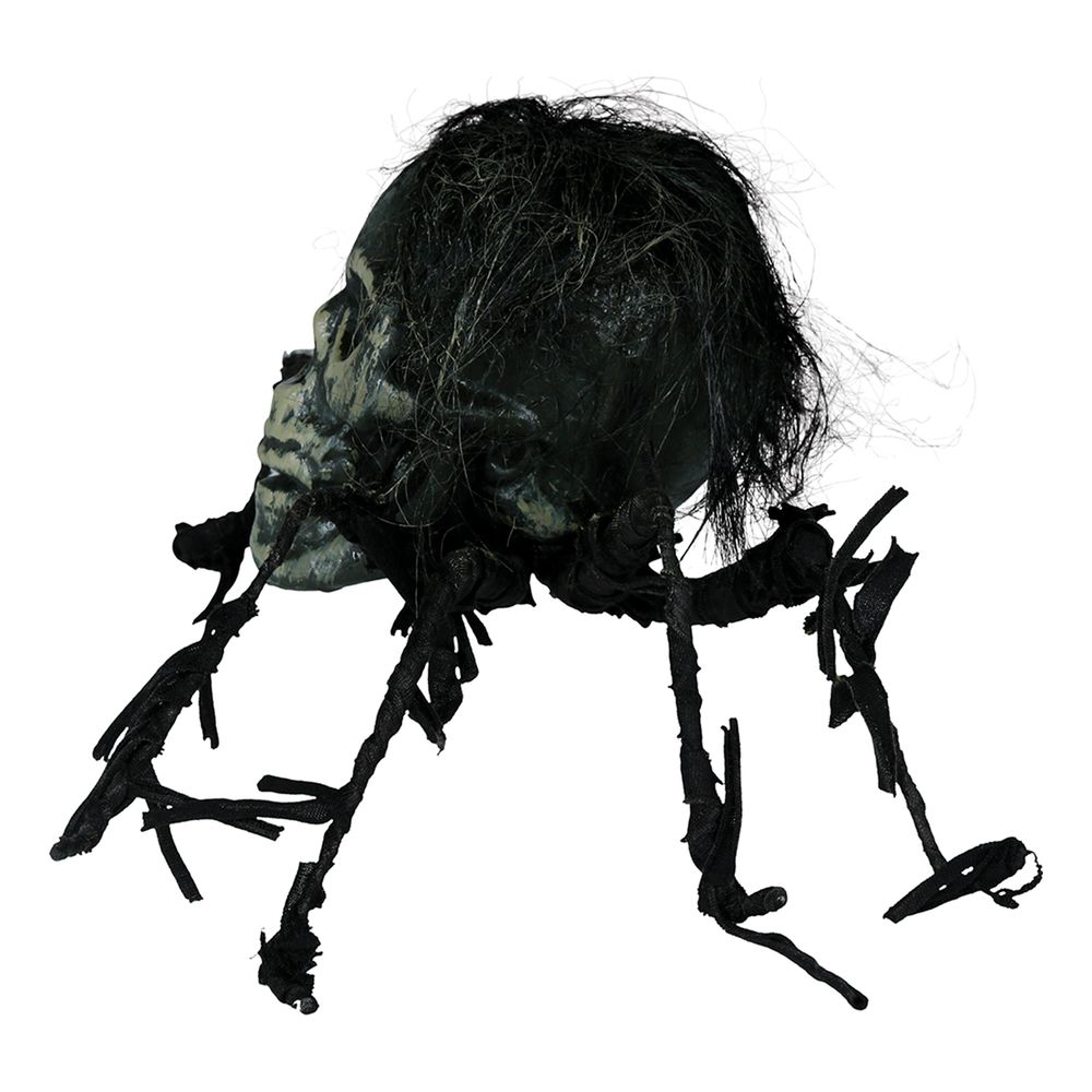 Skelet Edderkop Prop