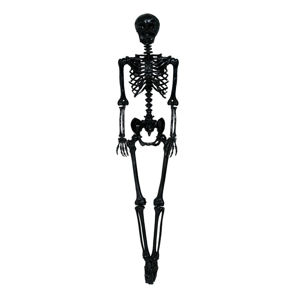 Skelet Sort Prop