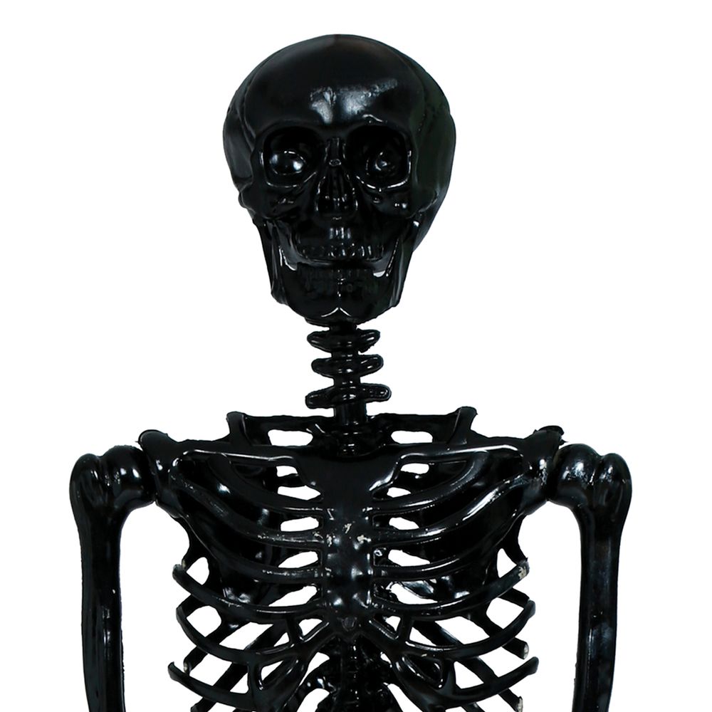 Skelet Sort Prop