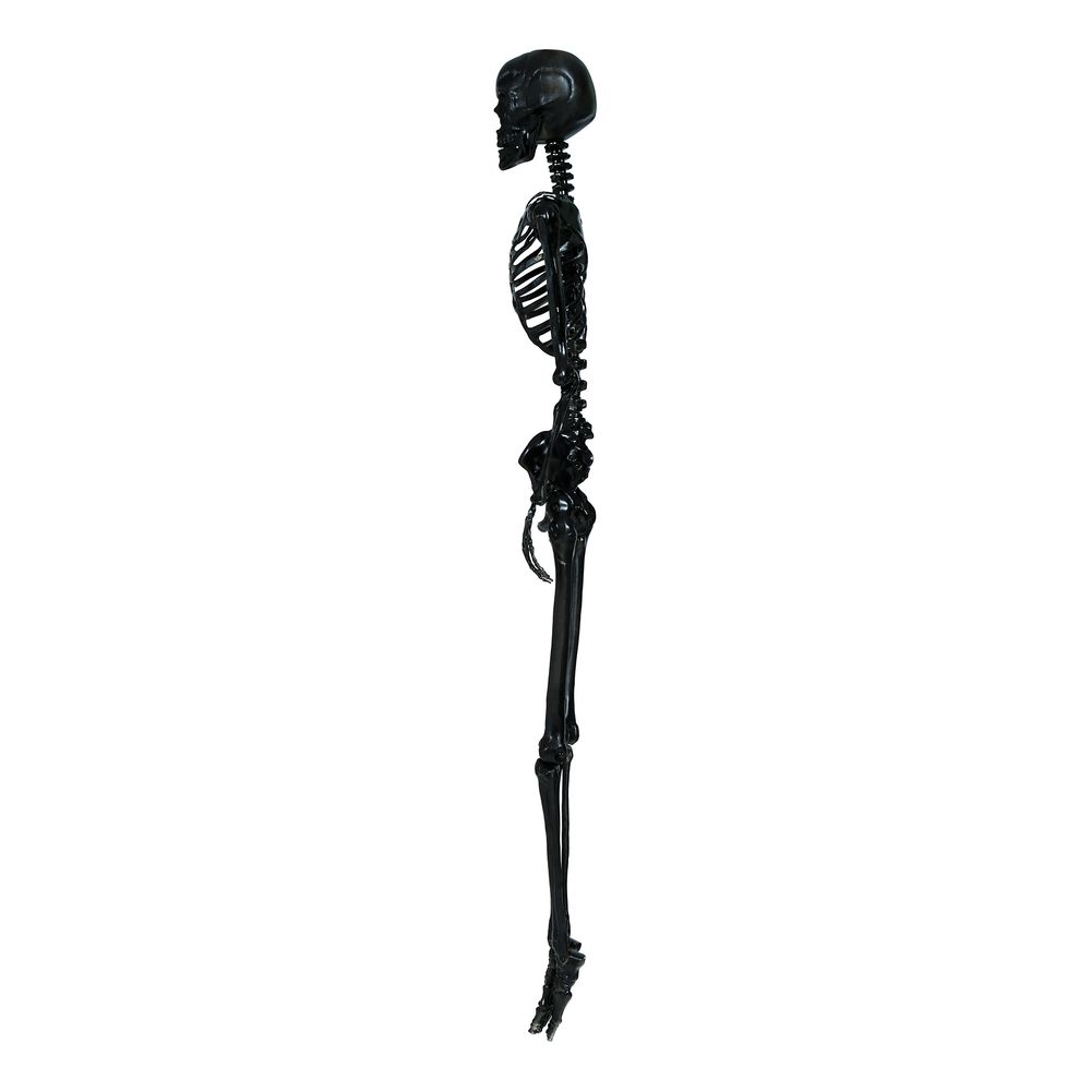 Skelet Sort Prop