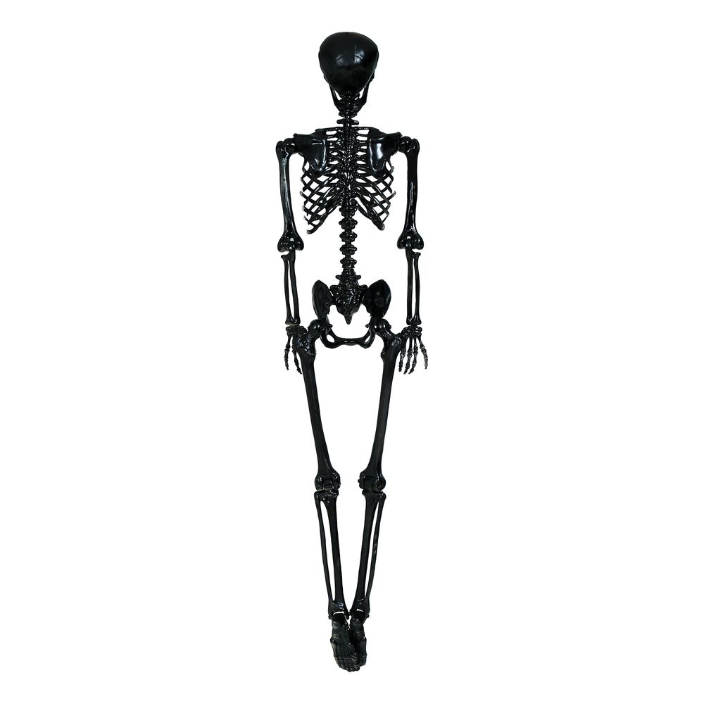 Skelet Sort Prop