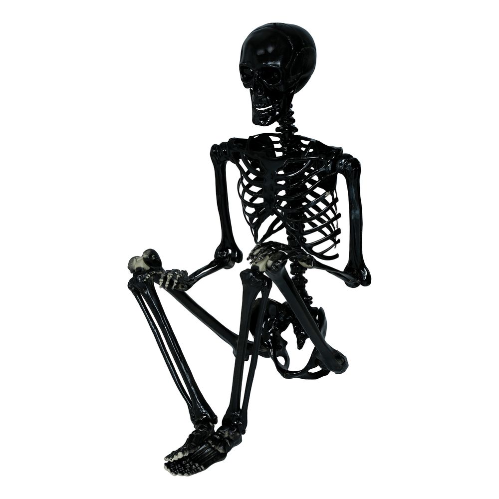 Skelet Sort Prop