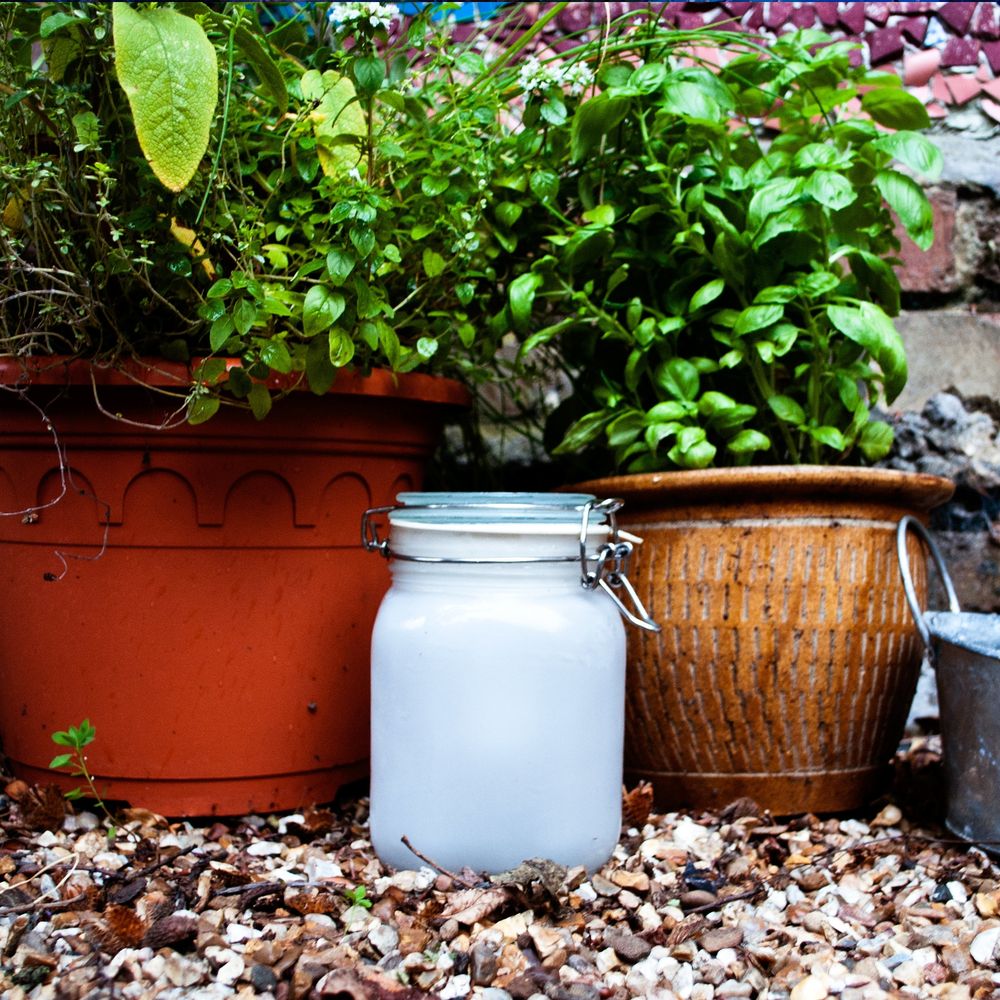 Sollampa Sun Jar