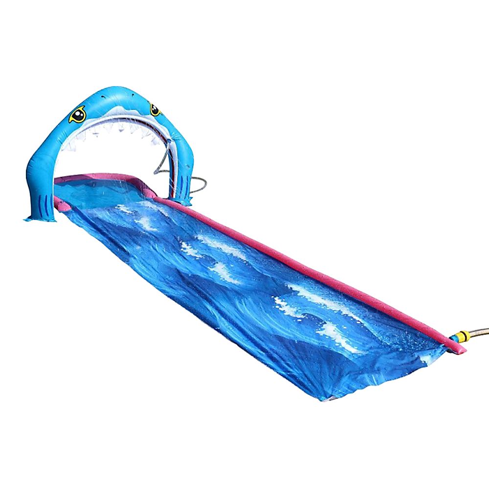 Slide and Glide Shark