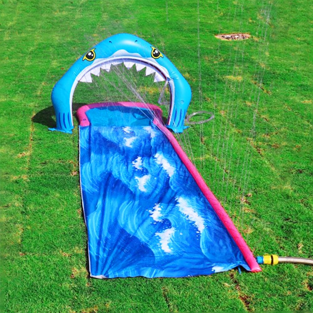 Slide and Glide Shark