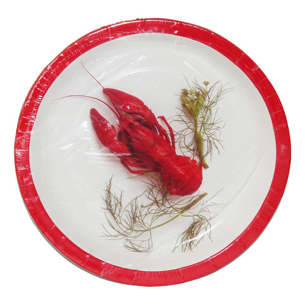 Stora Papperstallrikar Kräfta med Dill