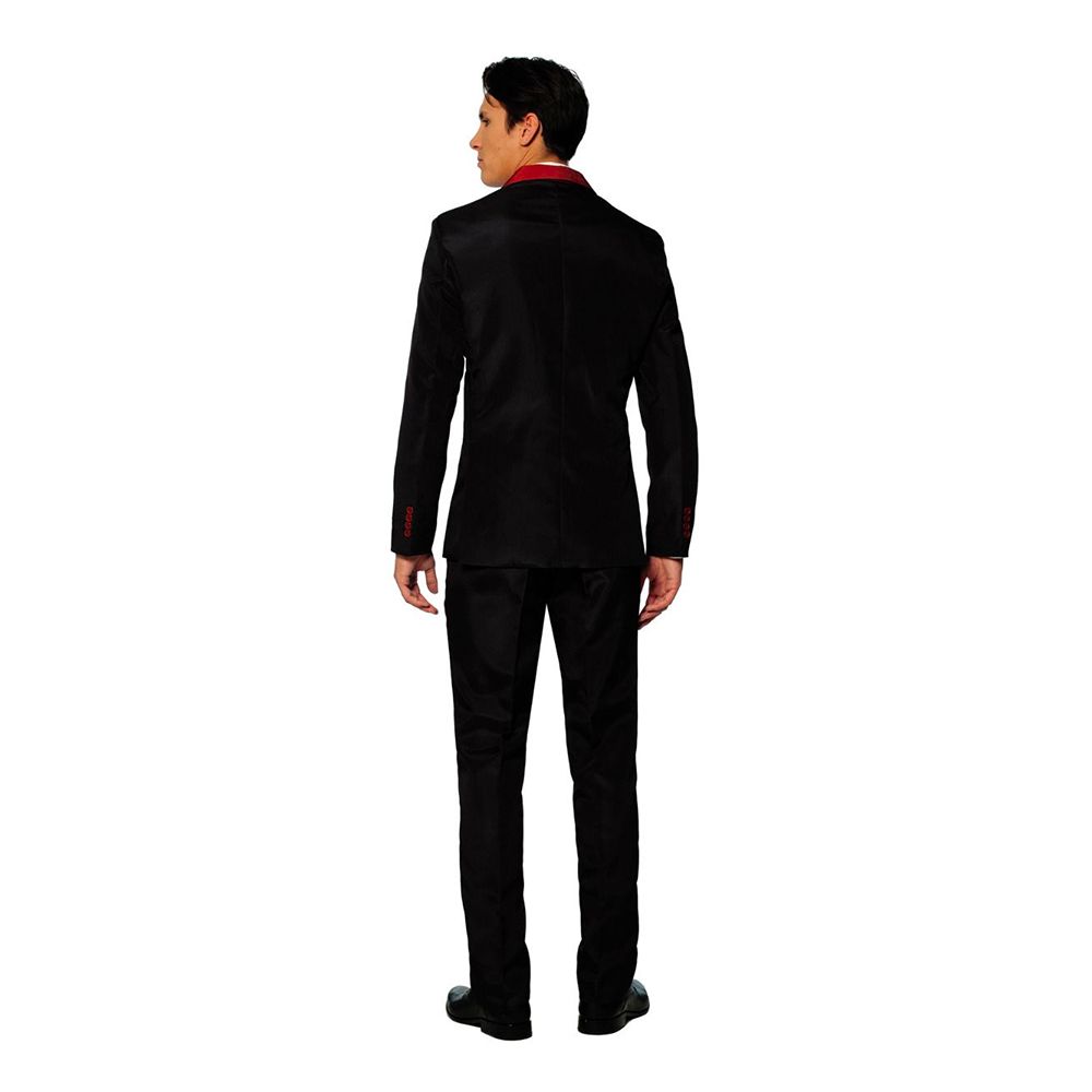 Suitmeister Harry Potter Gryffindor Kostym