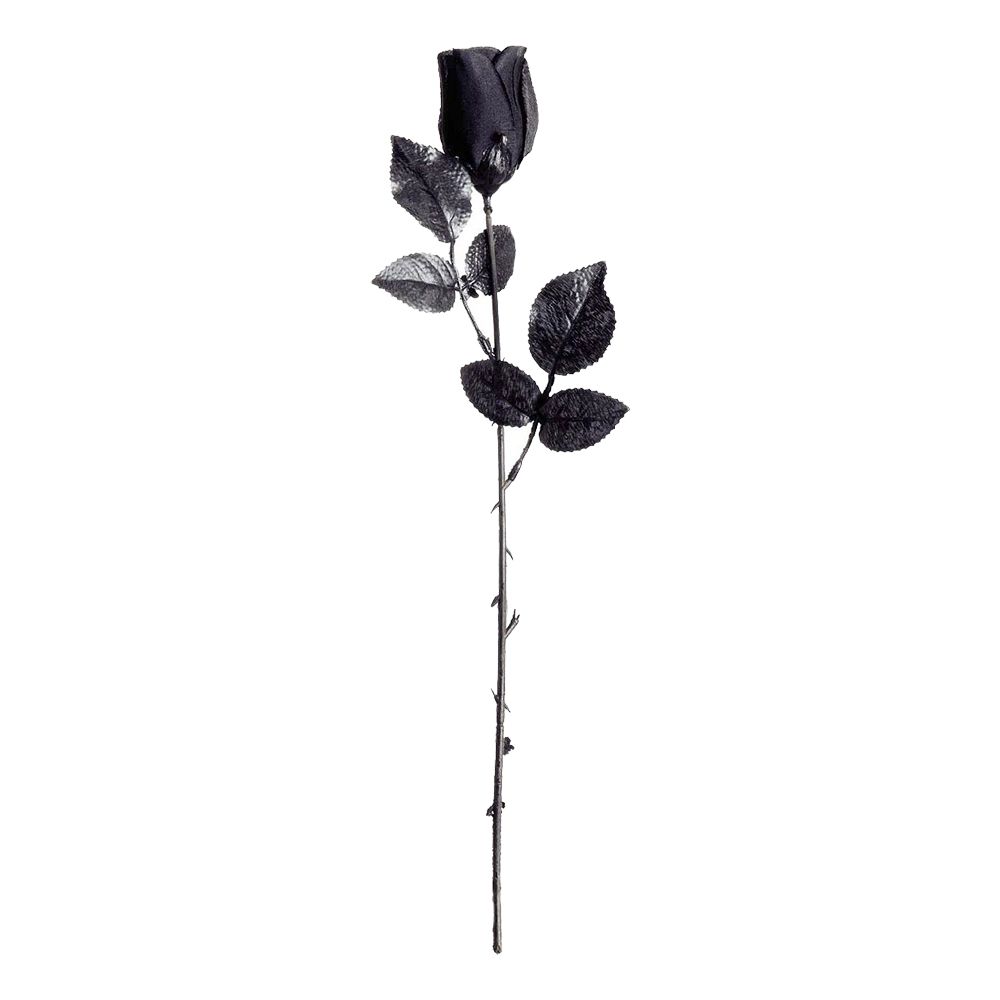 Sort Rose