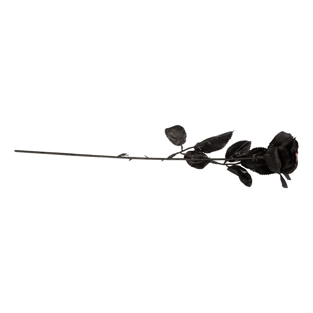 Svart Rose med Øye