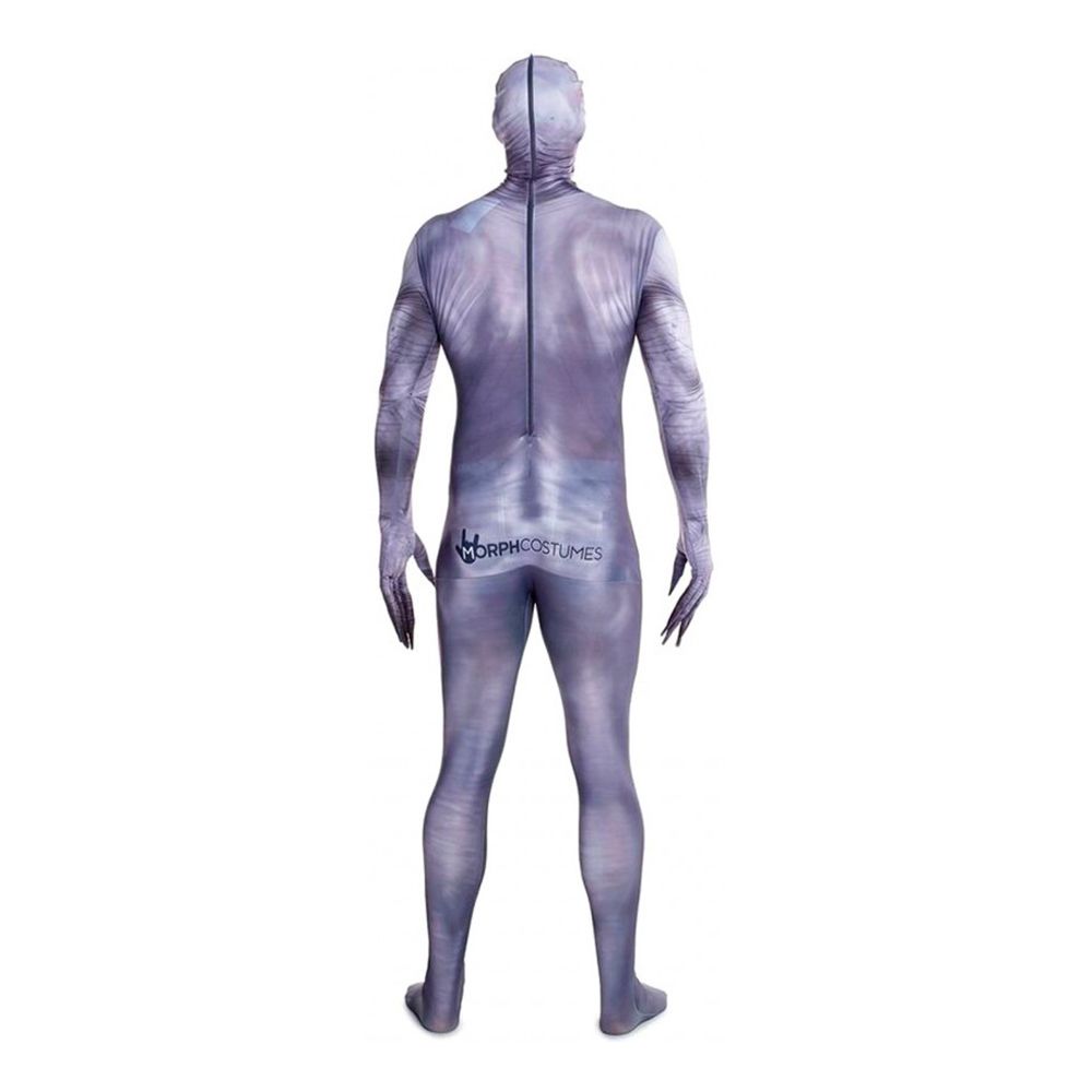 The Rake Morphsuit Kostyme