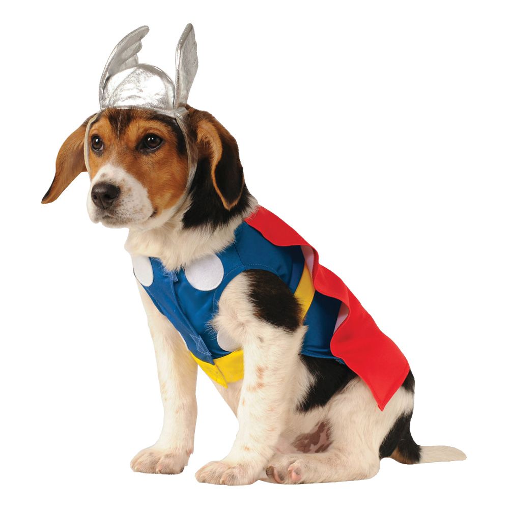 Thor Hund Drakt