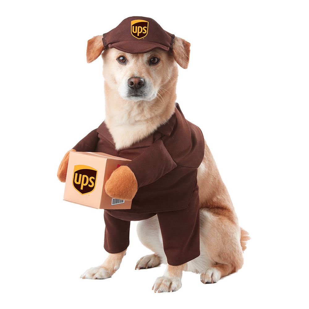 UPS Hund Kostyme