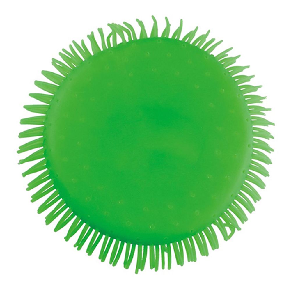 Vesifrisbee
