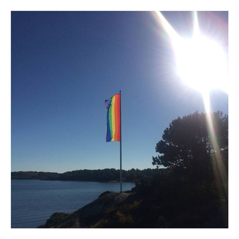 Windtracker Prideflagg