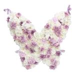 Backdrop Blomster-sommerfugl