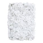 Backdrop Hortensia Hvid
