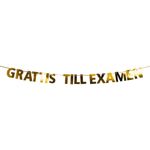 Kirjainviirinauha Grattis Till Examen